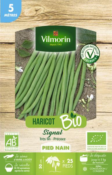 Légumes Secs - Haricot Nain Vert Signal - 5 m - BIO - face recto